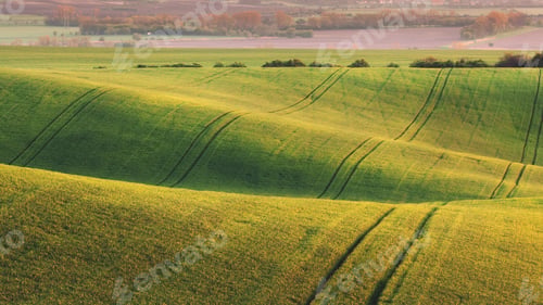 Preview: Green fields in the evening in South Moravia
