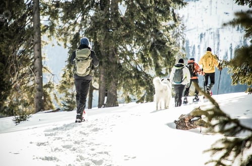 Preview: man and dog trekking in big snow in mountains in winter