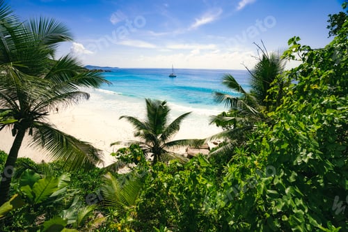 Preview: Petite Anse paradise beach framed by green foliage. La Digue island, Seychelles