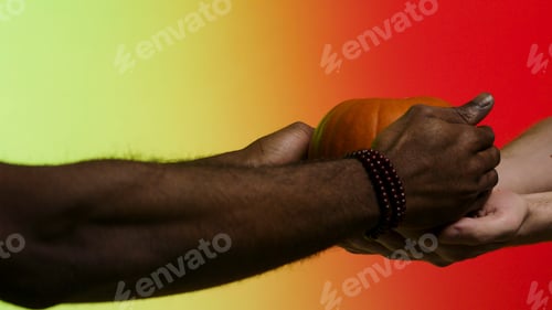 Preview: Afroamerican gives a ripe, bright, juicy pumpkin to white man, isolated hands on red and yellow