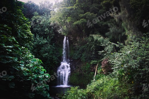 Preview: Waterfall. Greenery. Lush. Forest. Vegetation. Jungle.