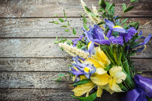 Preview: Bouquet of yellow and purple flowers