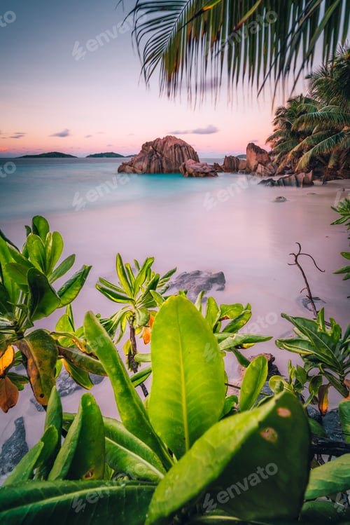 Preview: La Digue Island, Seychelles. Beautiful tropical sandy beach with exotic plants in evening sunset