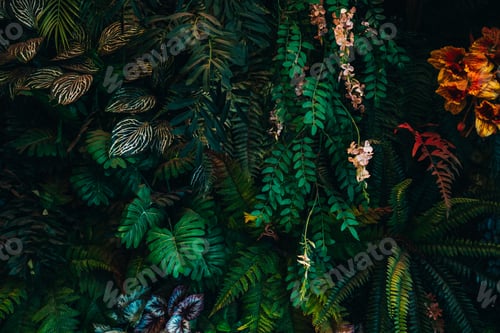 Preview: Close-up of a group of green leaves, providing a textured and abstract nature background.