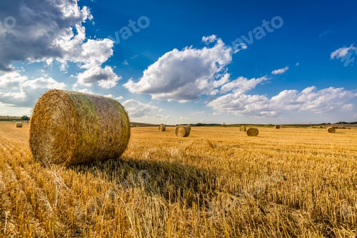 Preview: Beautiful sheaf of hay on the field at summer