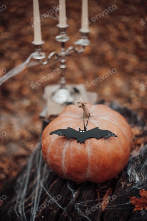 Preview: Halloween pumpkin and holiday decor at maple leaves among trees in autumn season outdoor
