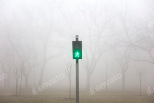Preview: Trafic lights in the foggy winter day