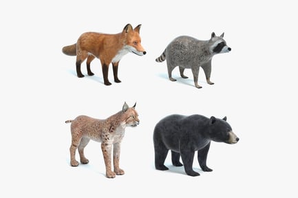 Preview: Wildlife Predators: Bear, Bobcat, Fox & Raccoon Collection