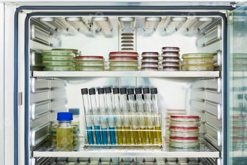 Preview: Agar medium and broth from the microbial test incubate in the incubator of microbial laboratory.