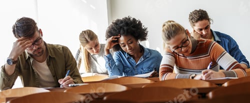 Preview: Educations and students