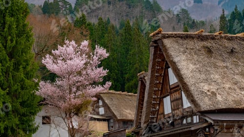 Preview: Scenic view of historic villages of Shirakawa-go and Gokayama in Japan