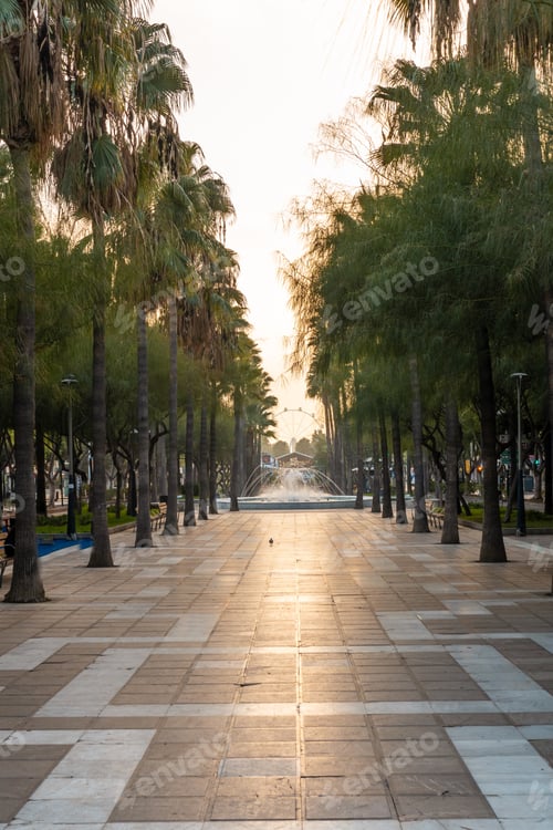 Preview: Palm trees on the Belen street of the Rambla de Almeria at sunset, Andalucia. Spain