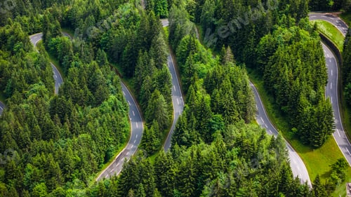 Preview: Top Down View of Winding Road in Alpine Pine Forest