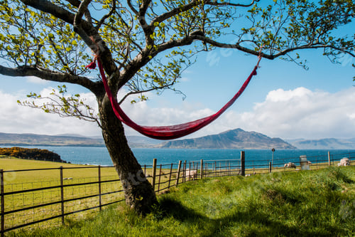 Preview: a hammock is hanging in a tree next to the water