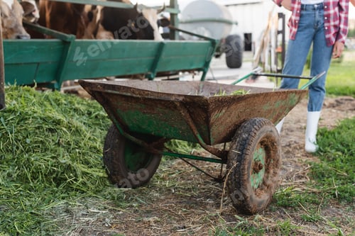 Preview: cropped view of african american farmer near wheelbarrow and blurred cows in stall