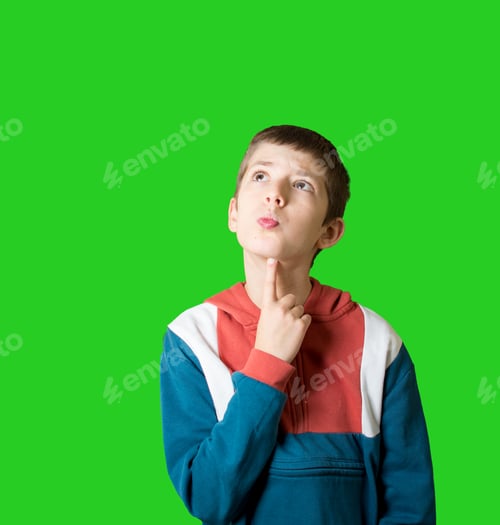 Preview: Photo of smart clever minded small boy wearing coloured sweatshirt look empty space isolated