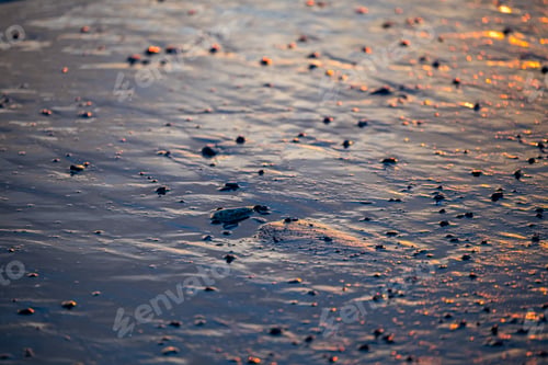 Preview: Sunrise Over Tidepools in Victoria on Vancouver Island