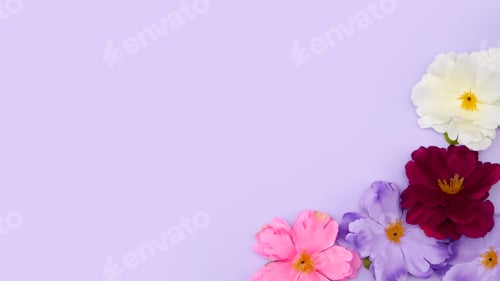 Preview: Easter Still Life Arrangement With Spring Flowers On Purple Background
