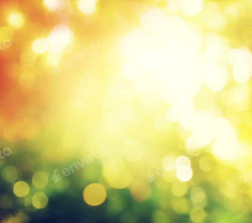 Preview: Autumn Forest Bokeh