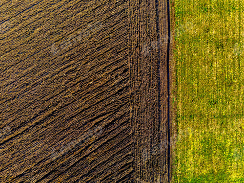 Preview: farm