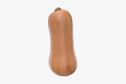 Preview: Ripe Butternut Squash - Fall Harvest Vegetable