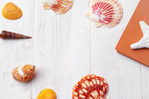 Preview: Brown open notepad surrounded by sea shells on white wooden table closeup