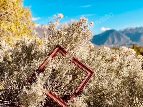 Preview: Natural background old wooden picture frame around brush, nature’s canvas, framing nature concept.