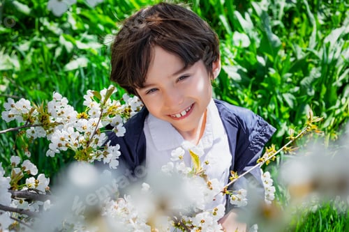 Preview: Smiling boy in white shirt among blooming branches on a sunny spring day.