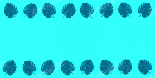 Preview: Tropical palm monstera leaves lies on a pastel colored paper. Nature summer concept patter
