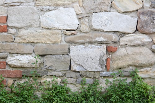 Preview: Beautiful green plants near old stone wall outdoors