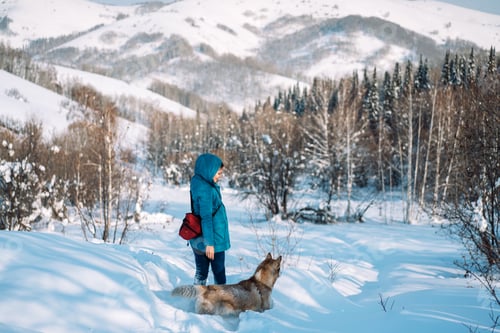 Preview: Girl with a dog walking in the snow in the forest
