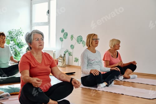 Preview: A group of senior women engage in various yoga exercises, including neck, back, and leg stretches