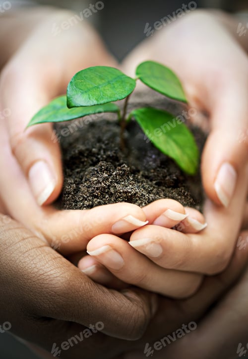 Preview: Facilitating corporate growth