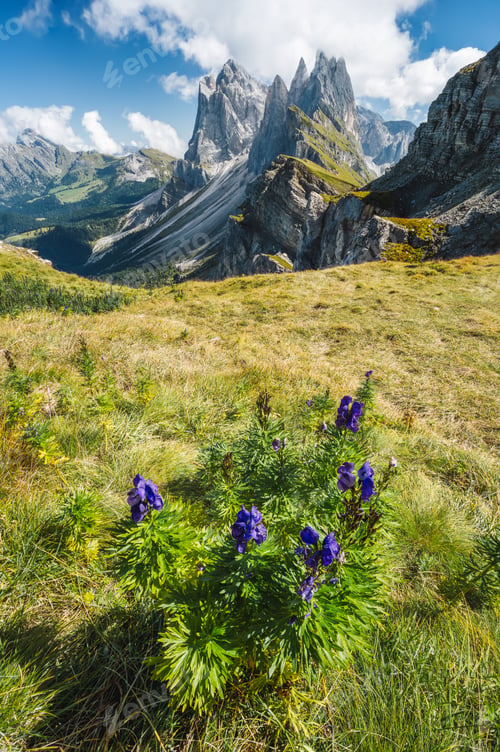 Preview: Seceda peaks. Trentino Alto Adige, Dolomites Alps, South Tyrol, Italy. Odle mountain range, Val