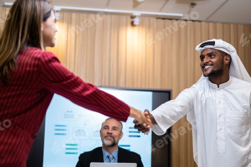 Preview: Multi-Ethnic businessman and woman making a handshake in meeting room.