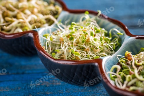 Preview: Red clover sprout