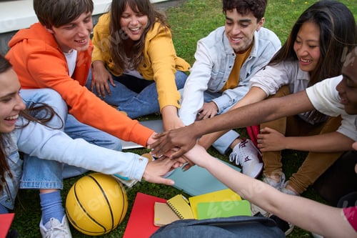 Preview: Multiracial group of cheerful young students joining hands in circle sitting on grass outside campus