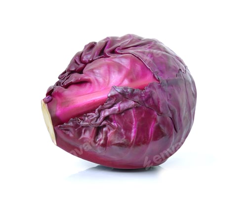 Preview: Red cabbage on white background