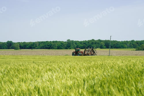 Preview: Soft wheat field on a windy day and a tractor pulling a disc harrow to another field