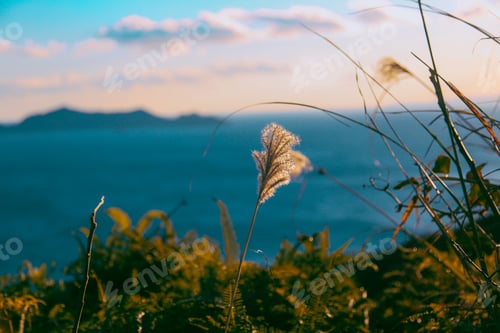 Preview: nature