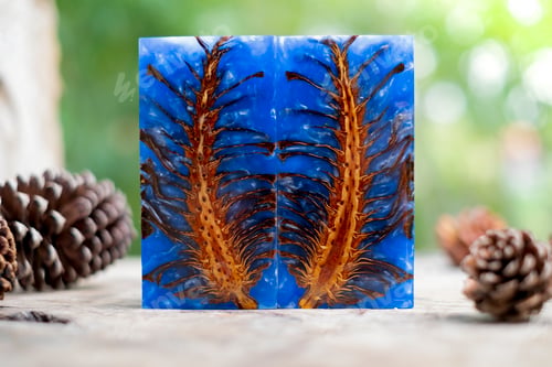 Preview: Casting epoxy resin Stabilizing pine cone blue abstract art background