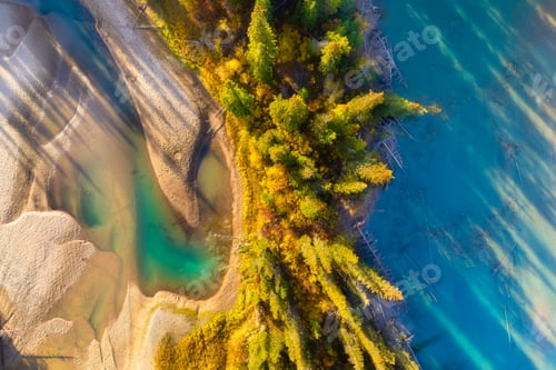 Preview: A drone view of the river in the forest. An aerial view of an forest. River among the trees.