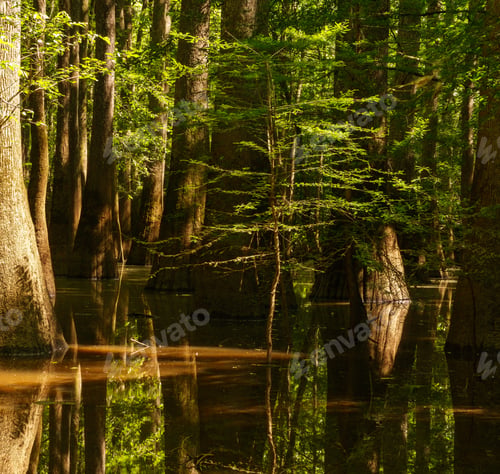 Preview: National Park