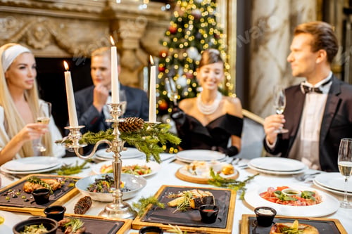 Preview: Elegantly dressed people having a festive dinner indoors