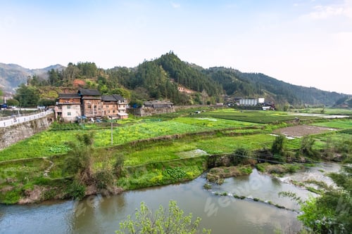 Preview: gardens, rice paddy, tea plantation in Chengyang