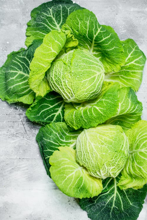 Preview: Juicy Savoy cabbage.