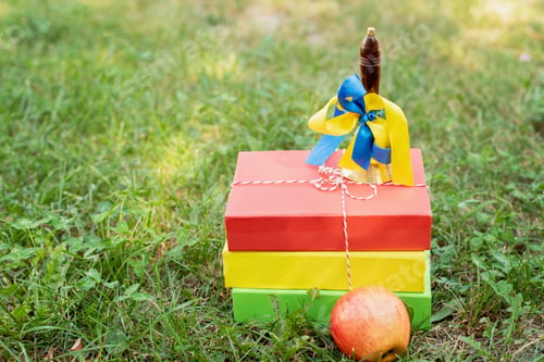 Preview: Back to school concept. books, bell and apple on green grass