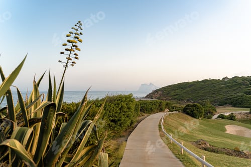 Preview: High angle shot of a pathway in a golf resort in La Alcaidesa