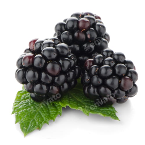Preview: fresh berry blackberry