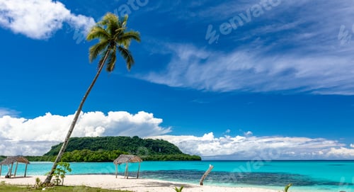 Preview: Port Orly sandy beach with palm trees, Espiritu Santo Island, Va